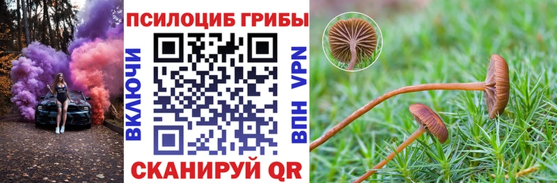 продажа наркотиков Порхов Псилоцибиновые грибы прущие грибы
